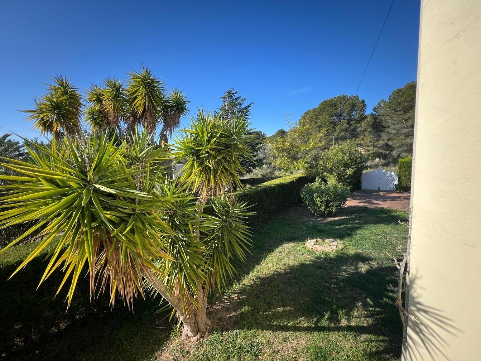 Appartamento Casa Buckingham 27B Torroella de Montgrí Esterno foto